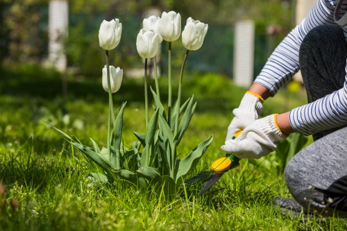 Gardeners Hornsey transforming a local garden