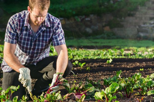 Gardening service terms and conditions introduction