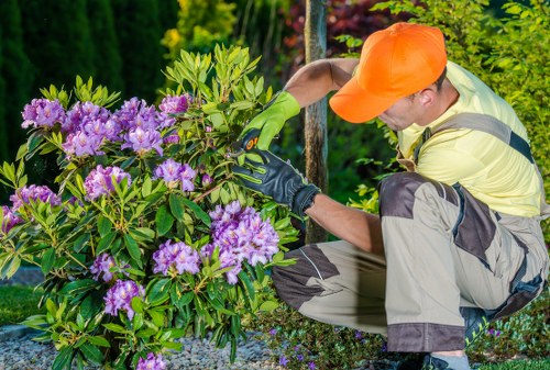 Seasonal garden clearance in Hornsey with leaf removal