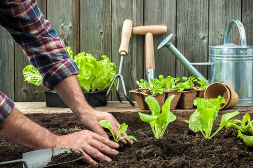 Garden maintenance worker applying safe practices in Hornsey