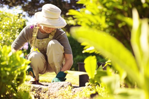 Seasonal garden improvement by Hornsey gardeners