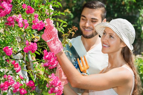 Clean patio and landscaped garden maintenance in Hornsey