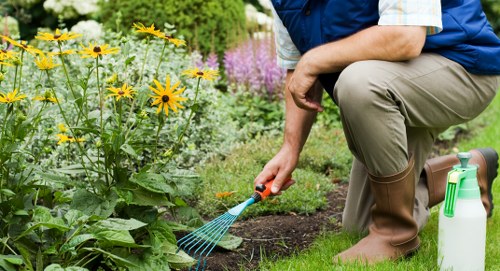 Garden waste sorting and recycling in a Hornsey garden