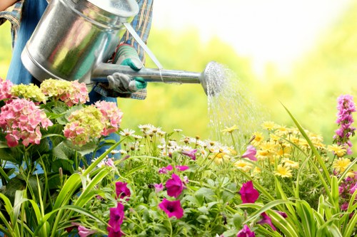 Professional gardener using protective equipment during outdoor work