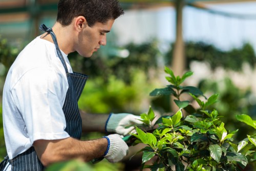 Separated green waste prepared for local processing