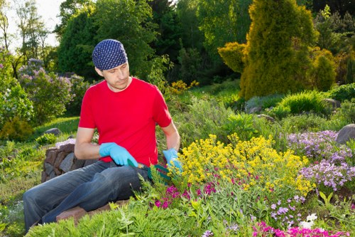 Neatly shaped hedge maintenance in Hornsey
