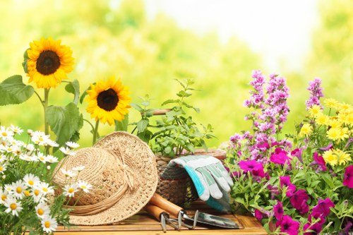 Pricing for garden clearance near busy Hornsey locations