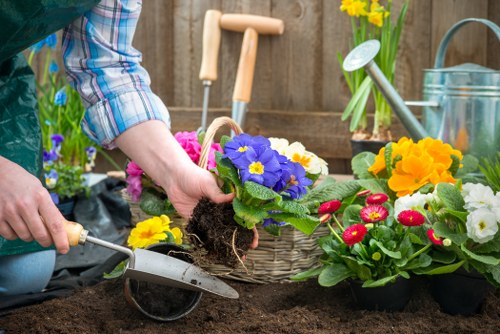 Professional garden maintenance in Hornsey