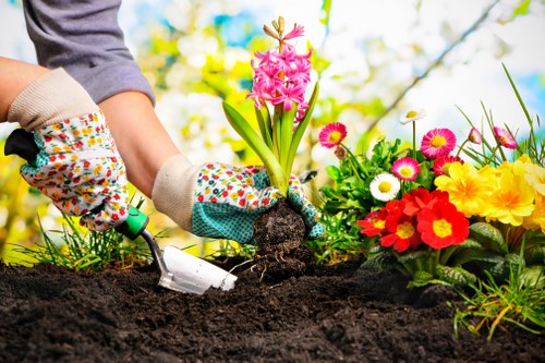 Charity donation items and reusable garden materials