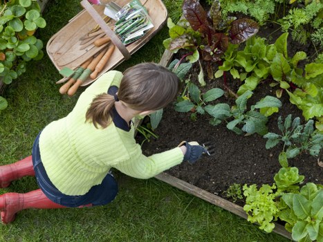 Modern Hornsey garden layout with structured planting and seating