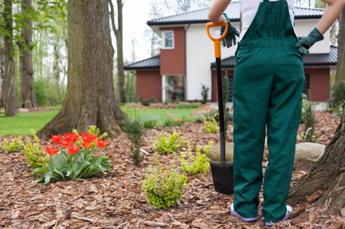 Visual for keyboard navigation and accessible local gardening pages