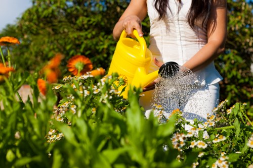 Professional Hornsey gardeners applying safety procedures during garden care