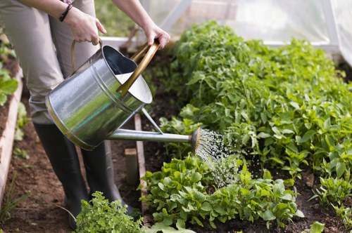 Seasonal planting and tidy borders in Hornsey