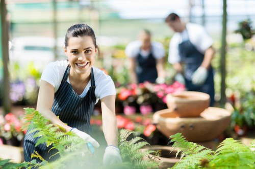 Landscaping and garden improvement service in Hornsey