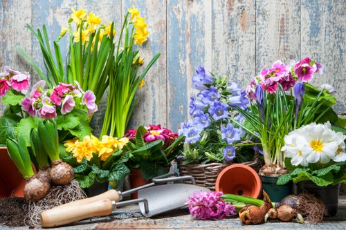 Hornsey gardeners maintaining hedges and lawn edges
