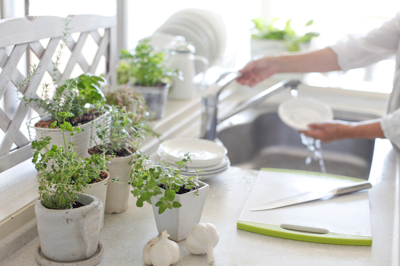 garden care Garden