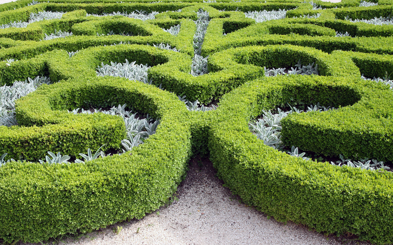 garden care Garden