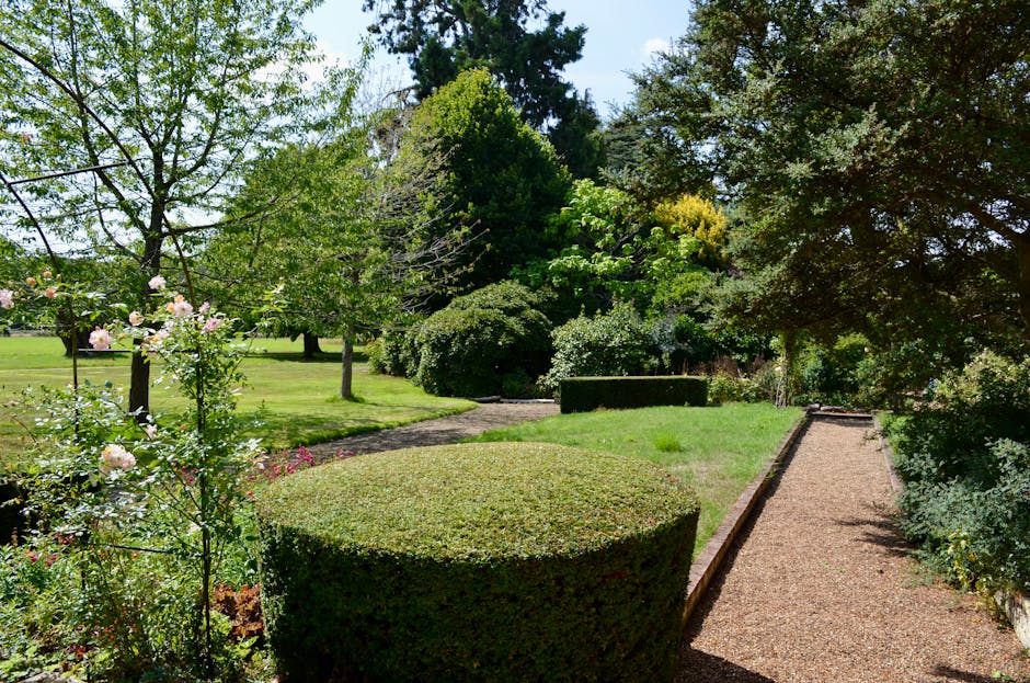 A straight, well-maintained gravel footpath runs through a lush garden in Priory Park Hornsey, lined on both sides with purple flowering plants and low metal fencing. Taller trees with green foliage p