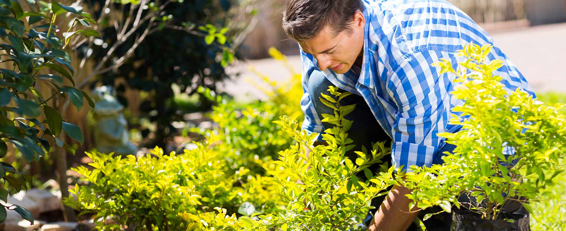 Gardeners Hornsey